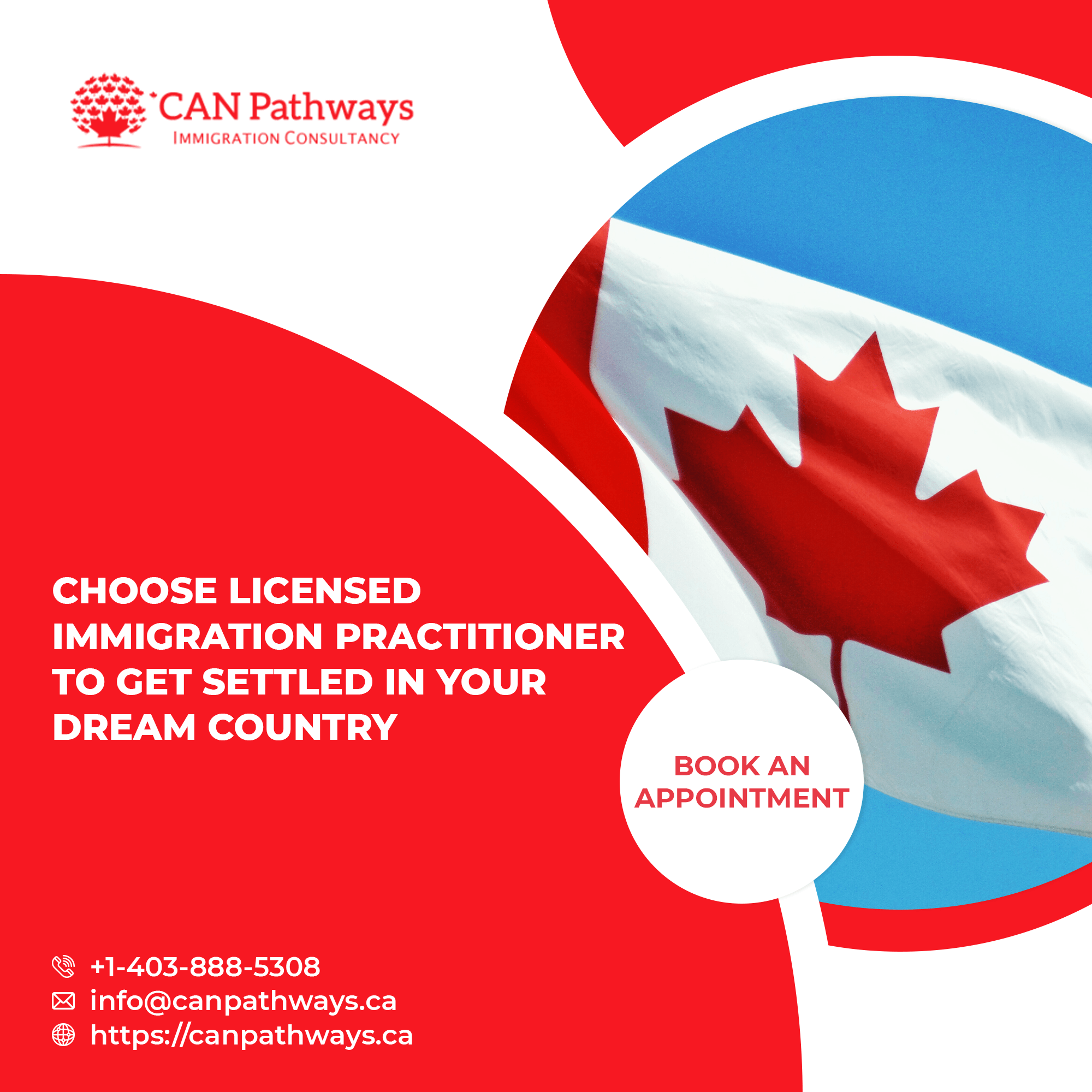 licensed immigration practitioner