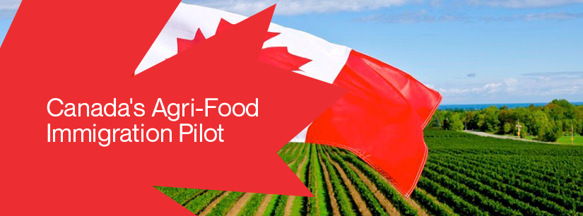 Canada's-Agri-Food-Immigration-Pilot
